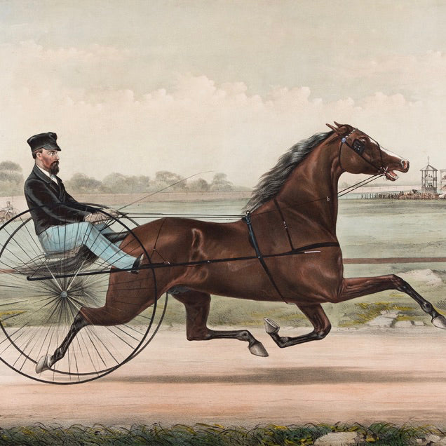 Horse Racing Antiques - Luke Honey | Antiques, Chess, Backgammon & Games